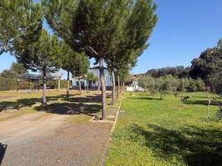 Chalet en venta en Ciudad Real