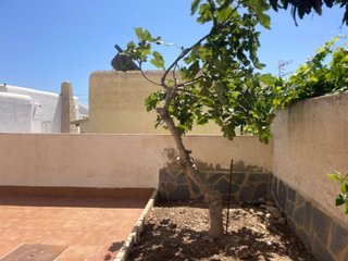 Chalet en venta en Urb. El Palmeral en Mojácar