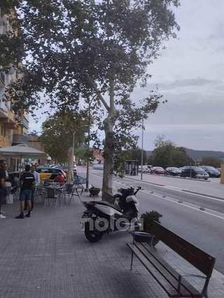 Piso en venta en Sant Jordi - Can Mas en Ripollet