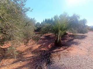 Casa rural en venta en Vilches