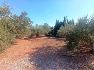 Casa rural en venta en Vilches