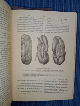 libro antiguo: Diccionario de veterinaria