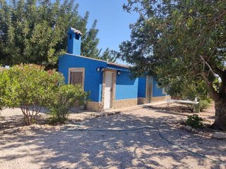 Chalet en venta en La Algoda - Matola - El Pla en Elche