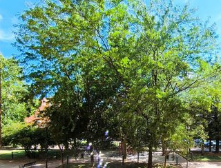 Piso en venta en Ave María en Palencia