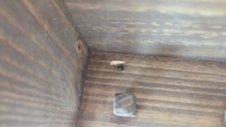 Soporte de madera para bicicleta