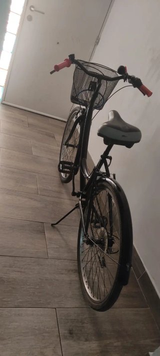Bicicleta de mujer con cesta