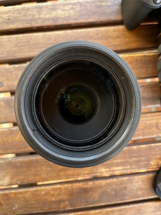 Canon EOS 250D + Lentes EFS 17-55 y Tamron 70-300