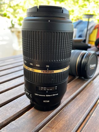 Canon EOS 250D + Lentes EFS 17-55 y Tamron 70-300