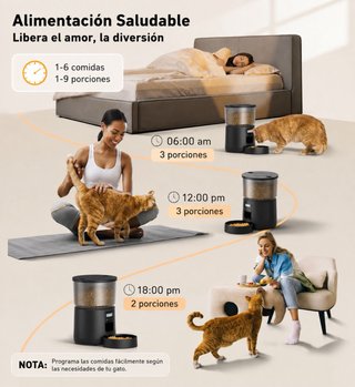 Comedero Gato Automático BEMOONY 3L