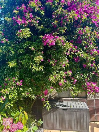 Casa pareada en venta en Peñacastillo - Nueva Montaña en Santander