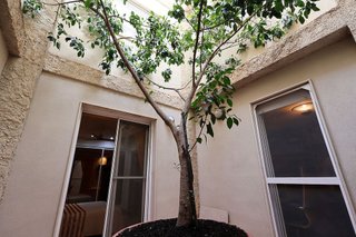 Casa adosada en venta en Avda. de Abril. - 9 de octubre en Sagunto