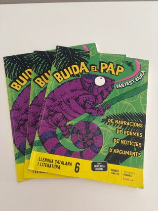 Llengua Catalana i Literatura 6, Tercer Cicle P...