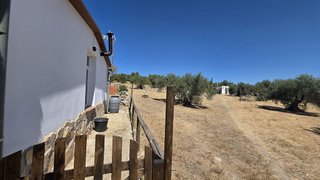 Terreno en venta en Sur en Mérida