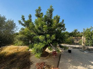 Chalet en venta en Sant Josep-Mercat en Amposta