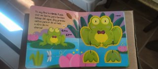 Libro puzzle
