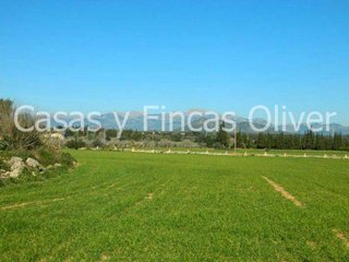 Casa rural en venta en Llubí