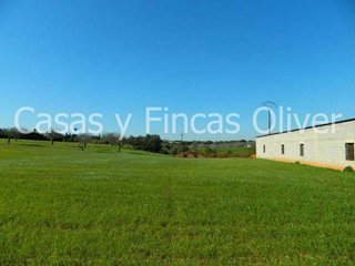 Casa rural en venta en Llubí