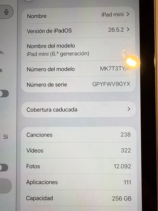 iPad mini 6ª Gen 256GB Space Gray