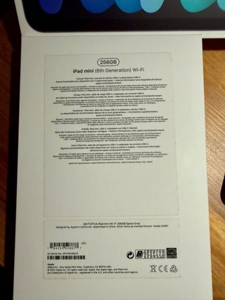 iPad mini 6ª Gen 256GB Space Gray