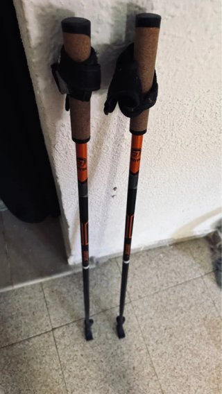 Bastones de senderismo Altus