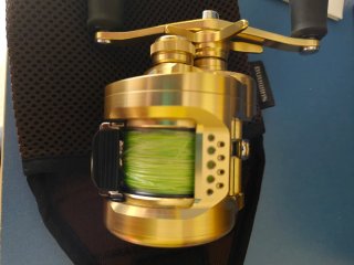 Carrete Shimano Calcutta 301MD