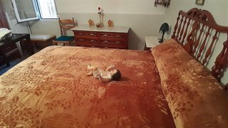Casa rural en venta en Yecla