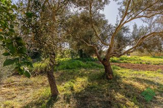 Chalet en venta en Noreste-Granja en Jerez de la Frontera