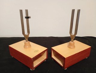 Cajas Resonancia Alemanas + Diapasones 432/440 Hz