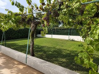 Chalet en venta en Molar (El)