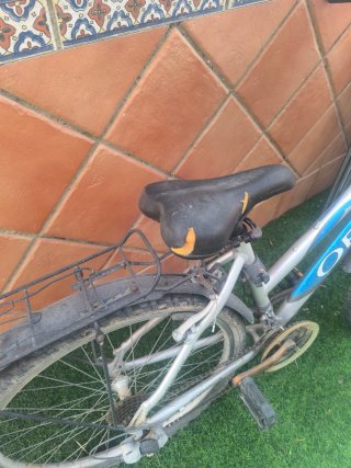 Bicicleta Orbea Bravo Montaña