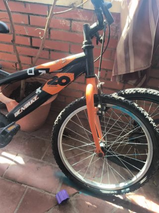 Bicicleta infantil 20 DENBIKE