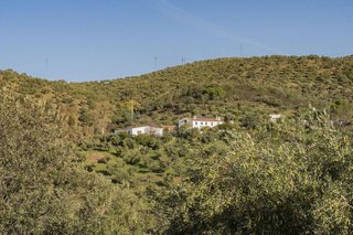 Cortijo en venta en Pozoblanco