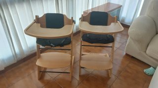 2 Tronas de madera evolutivas