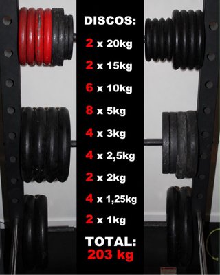 Gimnasio Completo Adidas Profesional