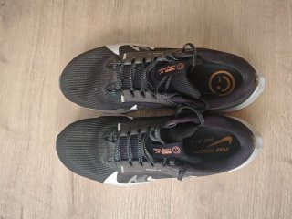 Nike Pegasus Air Zoom 40 Talla 40