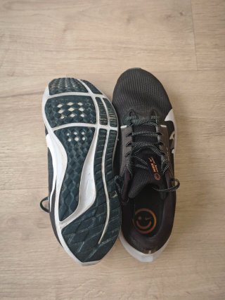 Nike Pegasus Air Zoom 40 Talla 40