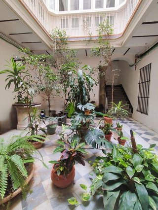 Piso en venta en Centro Histórico - Plaza España en Cádiz