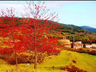 Casa rural en venta en Ojacastro