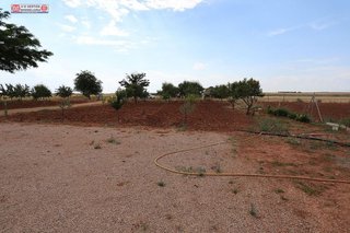 Casa rural en venta en Alcázar de San Juan