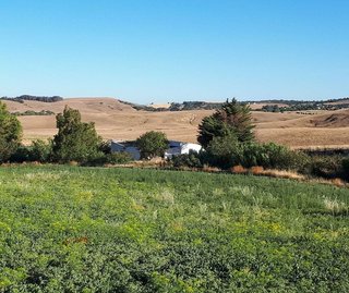Casa rural en venta en Medina-Sidonia