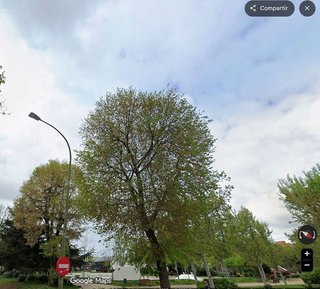 Piso en venta en Sur - PAU 4 en Móstoles