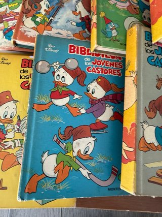 Biblioteca de los jóvenes castores