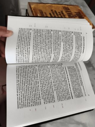 Gran libro ilustrado vírgenes y santos