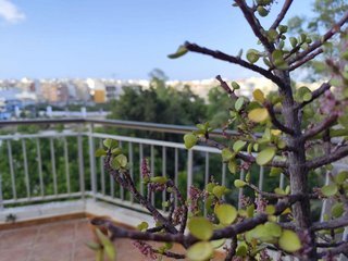 Ático en venta en  El Acequión - Los Naúfragos en Torrevieja