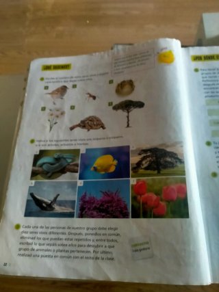 Proyecto: FanFest. Ciencias de la Naturaleza 3 ...