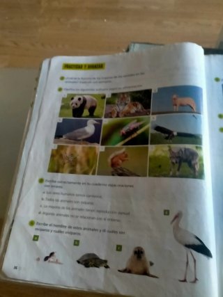 Proyecto: FanFest. Ciencias de la Naturaleza 3 ...