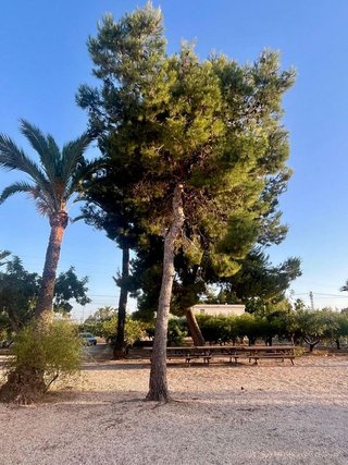 Chalet en venta en Jubalcoi en Elche