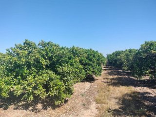 Chalet en venta en Casco Antiguo en Llíria