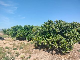 Chalet en venta en Casco Antiguo en Llíria