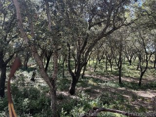 Casa rural en venta en Artà en Artà